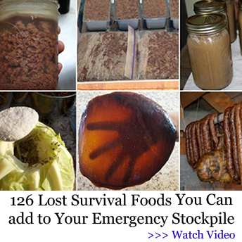 lost survival foods