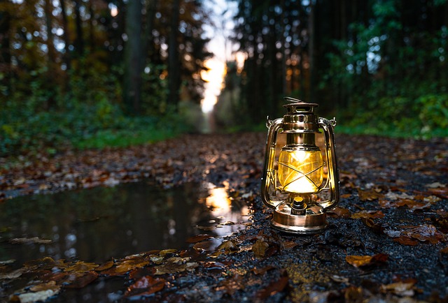 oil lamp in woods