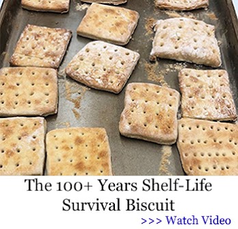 survival biscuits