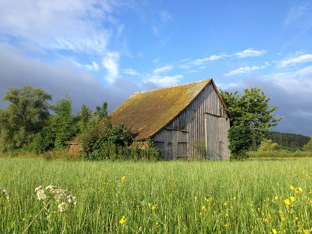 old barn for free wood